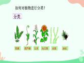 【核心素养】人教版初中生物七年级上册2.4.1《尝试对生物进行分类》课件＋教案（含教学反思）+学案