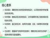 【核心素养】人教版初中生物七年级上册2.4.2《从种到界》课件＋教案（含教学反思）+学案