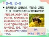 【核心素养】人教版初中生物七年级上册2.4.2《从种到界》课件＋教案（含教学反思）+学案