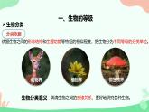 【核心素养】人教版初中生物七年级上册2.4.2《从种到界》课件＋教案（含教学反思）+学案