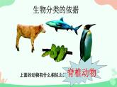 【核心素养】人教版初中生物七年级上册2.4.2《从种到界》课件＋教案（含教学反思）+学案