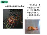 苏教版生物七上1.1.2《生物与环境的关系》课件