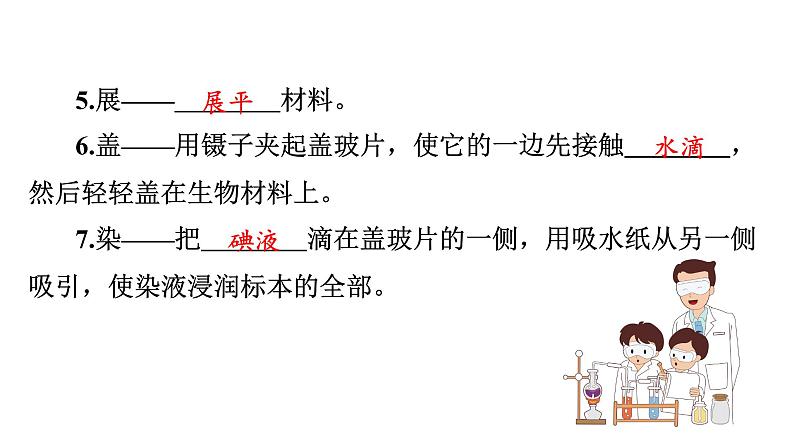 苏教版生物七上1.2.1《探索生命的器具》第2课时 课件04