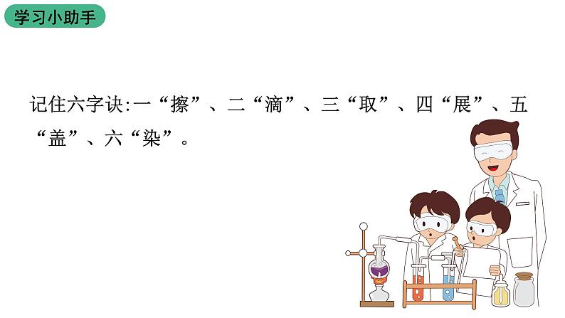 苏教版生物七上2.3.1《植物细胞的结构与功能》课件第5页