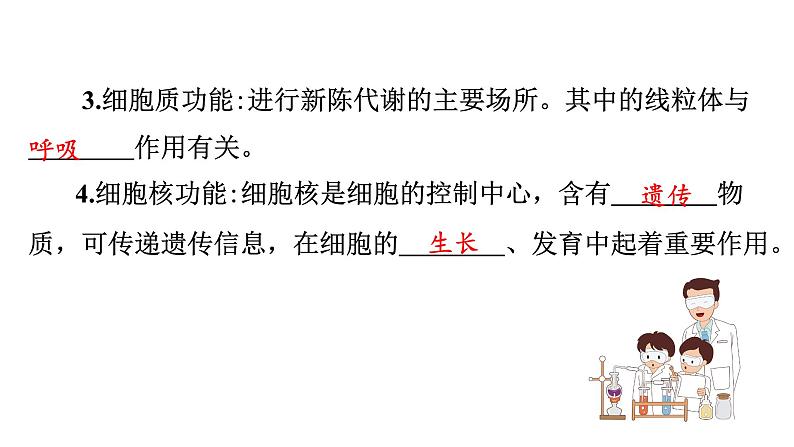 苏教版生物七上2.3.2《人和动物细胞的结构和功能》课件第4页
