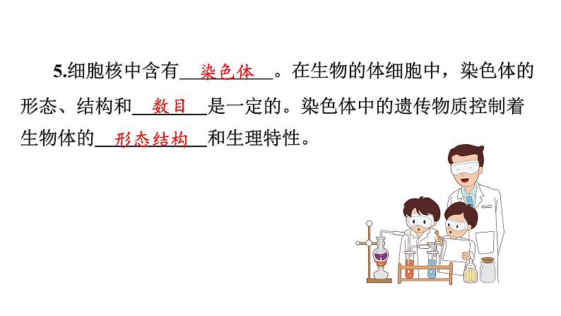 苏教版生物七上2.3.2《人和动物细胞的结构和功能》课件第5页