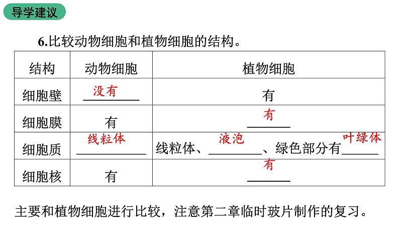 苏教版生物七上2.3.2《人和动物细胞的结构和功能》课件第6页