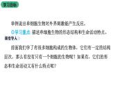 苏教版生物七上2.4.1《单细胞生物》课件