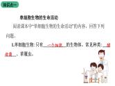 苏教版生物七上2.4.1《单细胞生物》课件