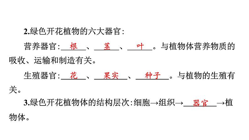 苏教版生物七上2.4.2《多细胞生物体的组成》课件04