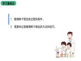苏教版生物七上3.5.1《植物种子的萌发》课件