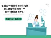 苏教版生物七上3.5.2《植物根的生长》课件