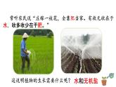 苏教版生物七上3.5.3《植物生长需要水和无机盐》课件