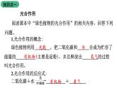 苏教版生物七上3.6.1《植物光合作用的发现》课件