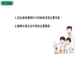 苏教版生物七上3.6.2《植物光合作用的场所》课件