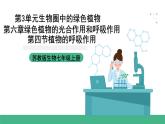苏教版生物七上3.6.4《植物的呼吸作用》课件