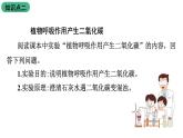 苏教版生物七上3.6.4《植物的呼吸作用》课件