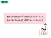 苏教版生物七上3.6.5《光合作用和呼吸作用原理的应用》课件