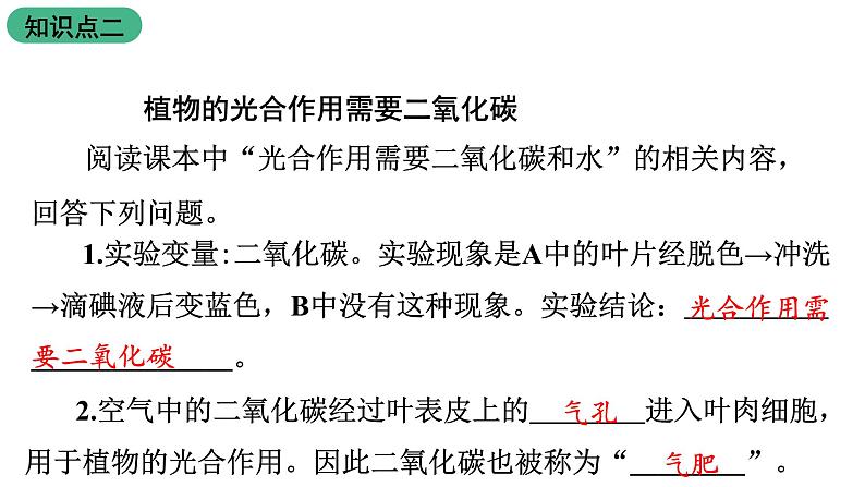 苏教版生物七上3.6.3《植物光合作用的实质》 第2课时课件07
