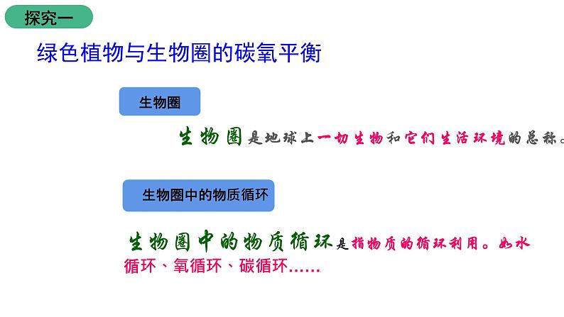 苏教版生物七上7.2《 绿色植物与生物圈的物质循环》课件05