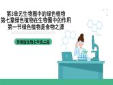 苏教版生物七上3.7.1《绿色植物是食物之源》课件