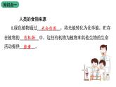 苏教版生物七上3.7.1《绿色植物是食物之源》课件