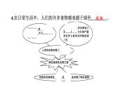 苏教版生物七上3.7.1《绿色植物是食物之源》课件