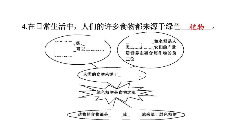 苏教版生物七上3.7.1《绿色植物是食物之源》课件05