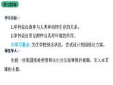 苏教版生物七上3.7.3《绿化，我们共同的行动》课件