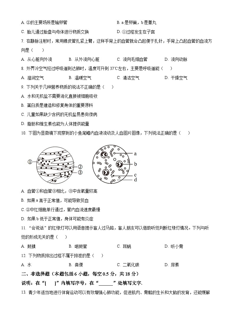 辽宁省大连市中山区2023-2024学年七年级下学期期末生物学试题（原卷版）第2页