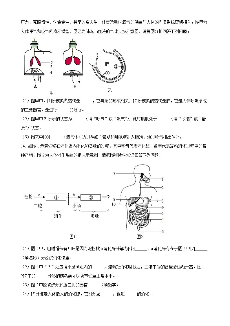 辽宁省大连市中山区2023-2024学年七年级下学期期末生物学试题（原卷版）第3页
