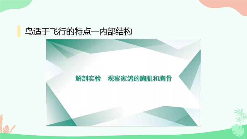 【核心素养】人教版初中生物七年级上册2.2.2.3《鸟类和哺乳动物动物》课件＋教案（含教学反思）+学案08