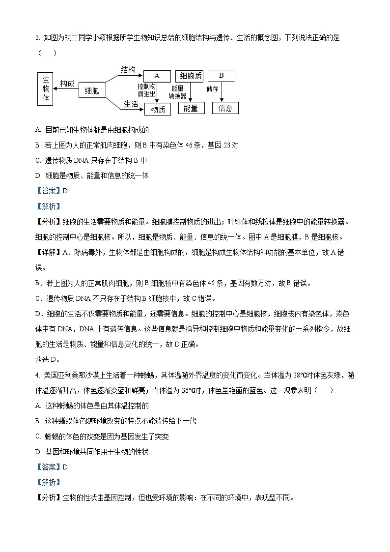 四川省达州市达川区2023-2024学年八年级下学期期末生物试题（原卷版+解析版）03