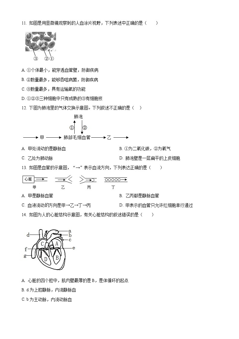 山东省菏泽市巨野县2022-2023年七年级下学期期中生物试题（原卷版）第3页