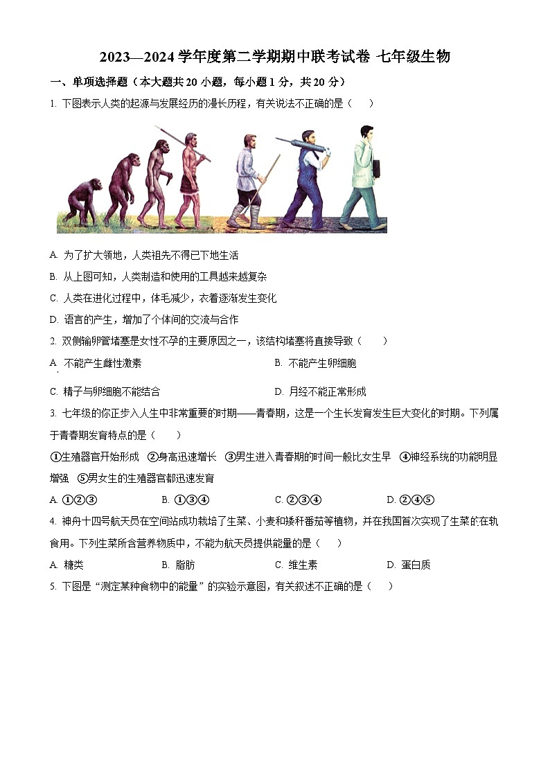 江西省赣州市南康区2023-2024学年七年级下学期期中生物学试题（原卷版）第1页