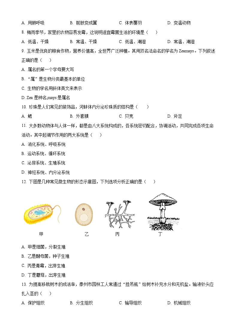 江苏省泰州市海陵区2023-2024学年七年级下学期期末生物试题（原卷版）第2页