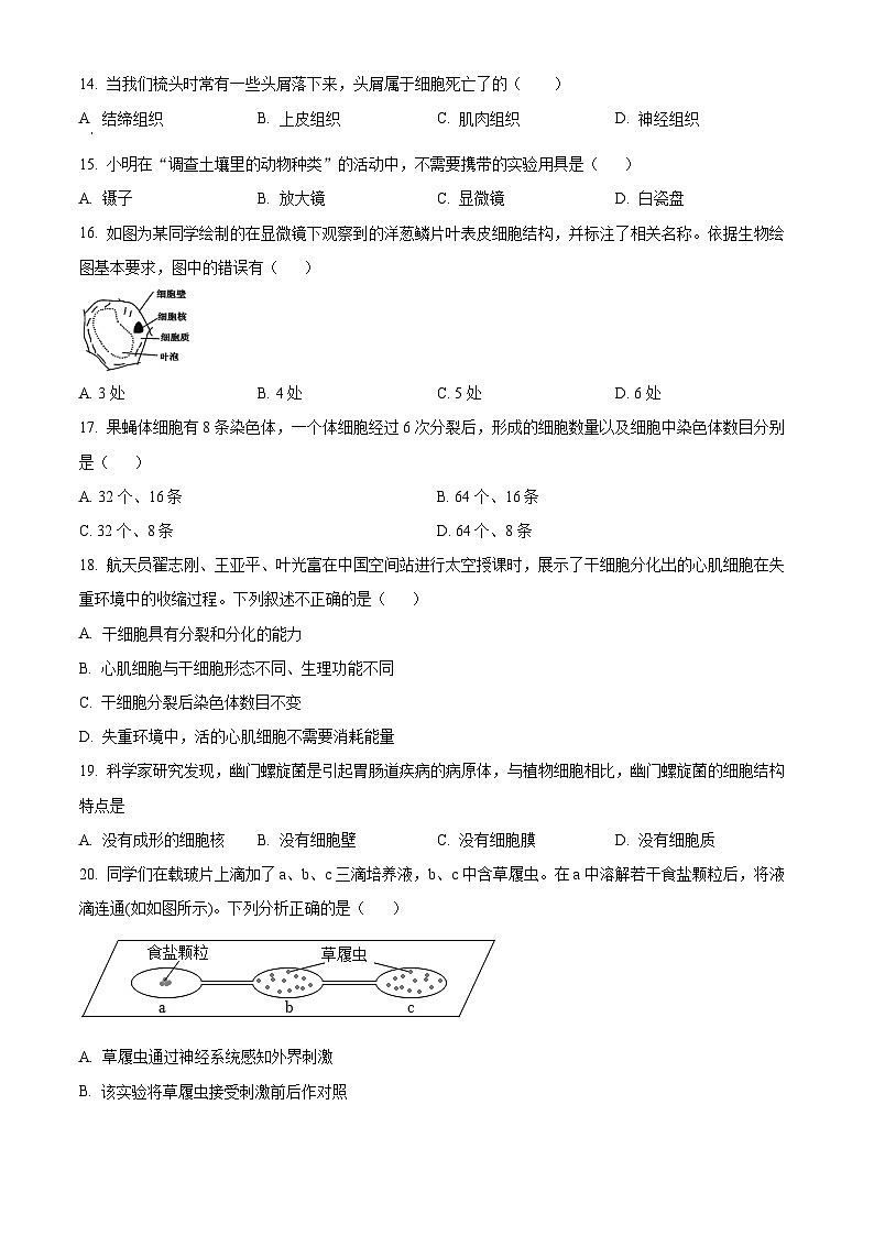江苏省泰州市海陵区2023-2024学年七年级下学期期末生物试题（原卷版）第3页