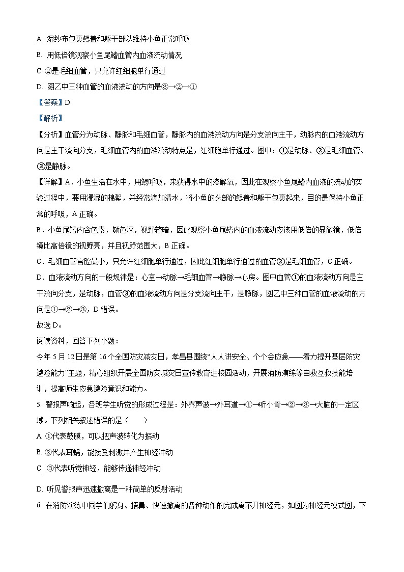 湖北省孝感市孝昌县2023-2024学年七年级下学期期末生物试题（解析版）第3页