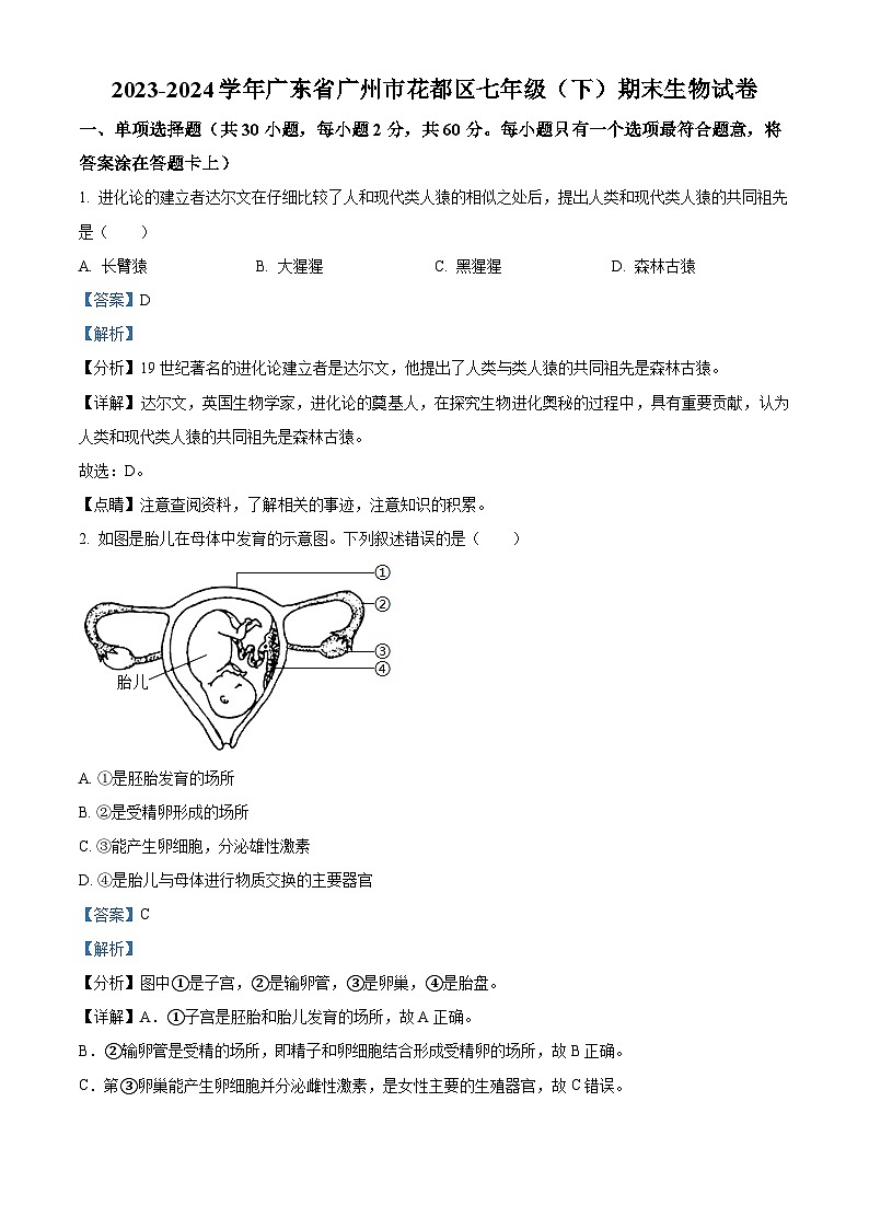 广东省广州市花都区2023-2024学年七年级下学期期末生物试题（解析版）第1页