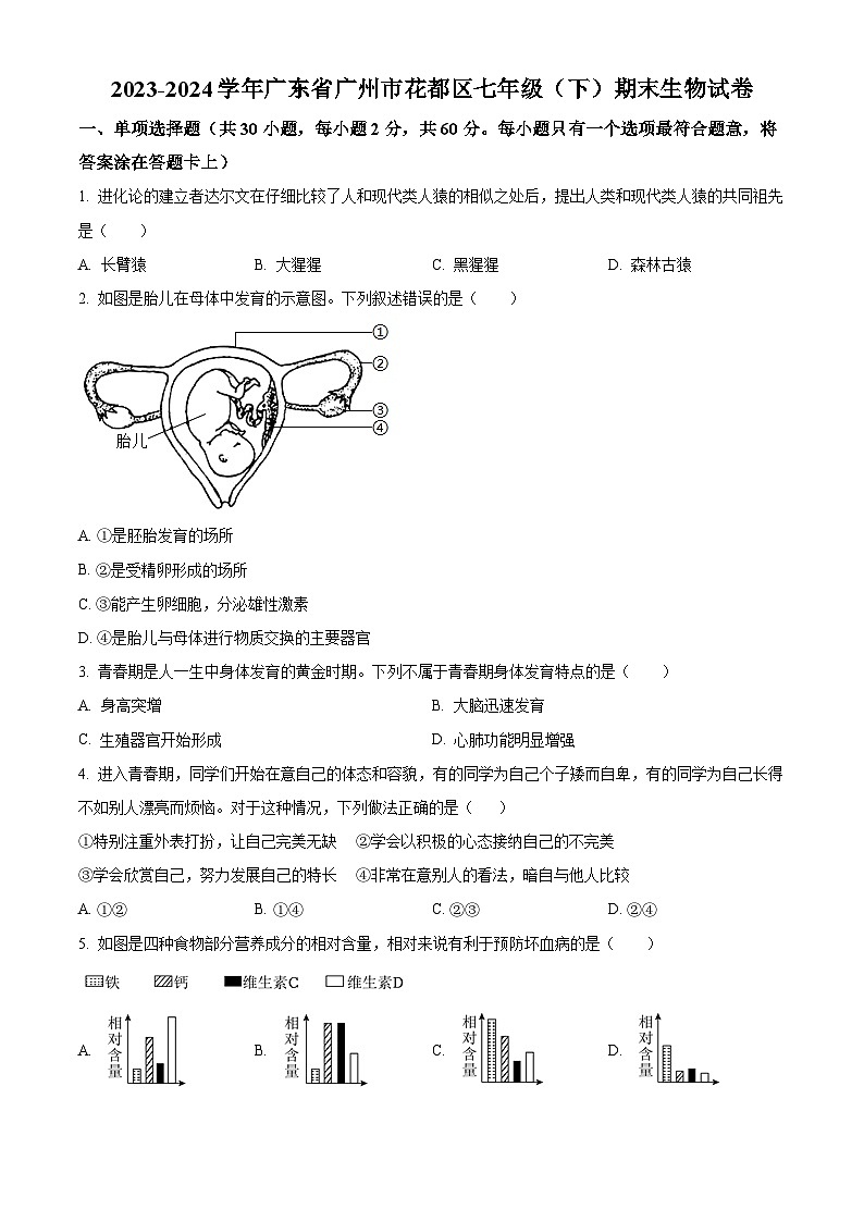 广东省广州市花都区2023-2024学年七年级下学期期末生物试题（原卷版）第1页
