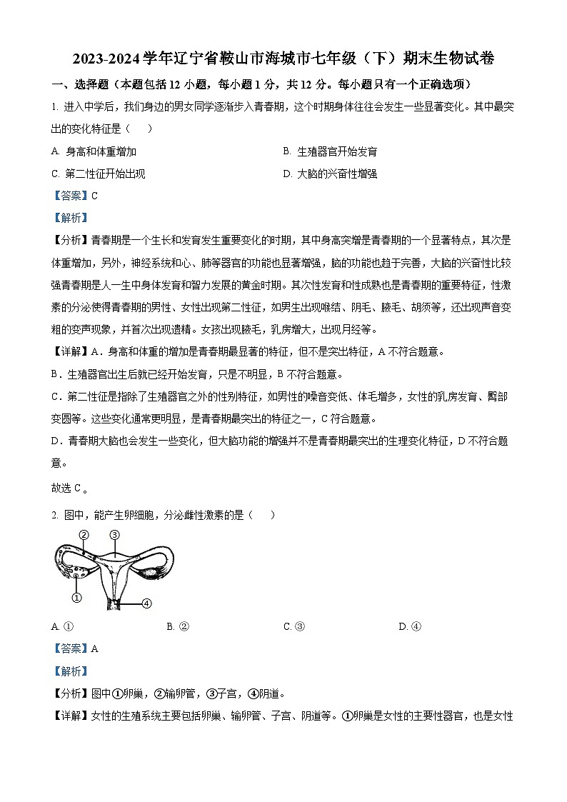 辽宁省鞍山市海城市2023-2024学年七年级下学期期末生物学试题（解析版）第1页