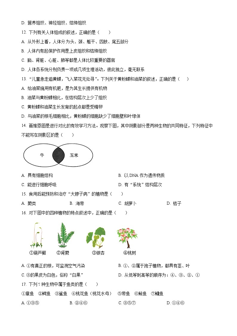 江苏省宿迁市泗阳县2023-2024学年七年级下学期期末生物试题（原卷版）第3页