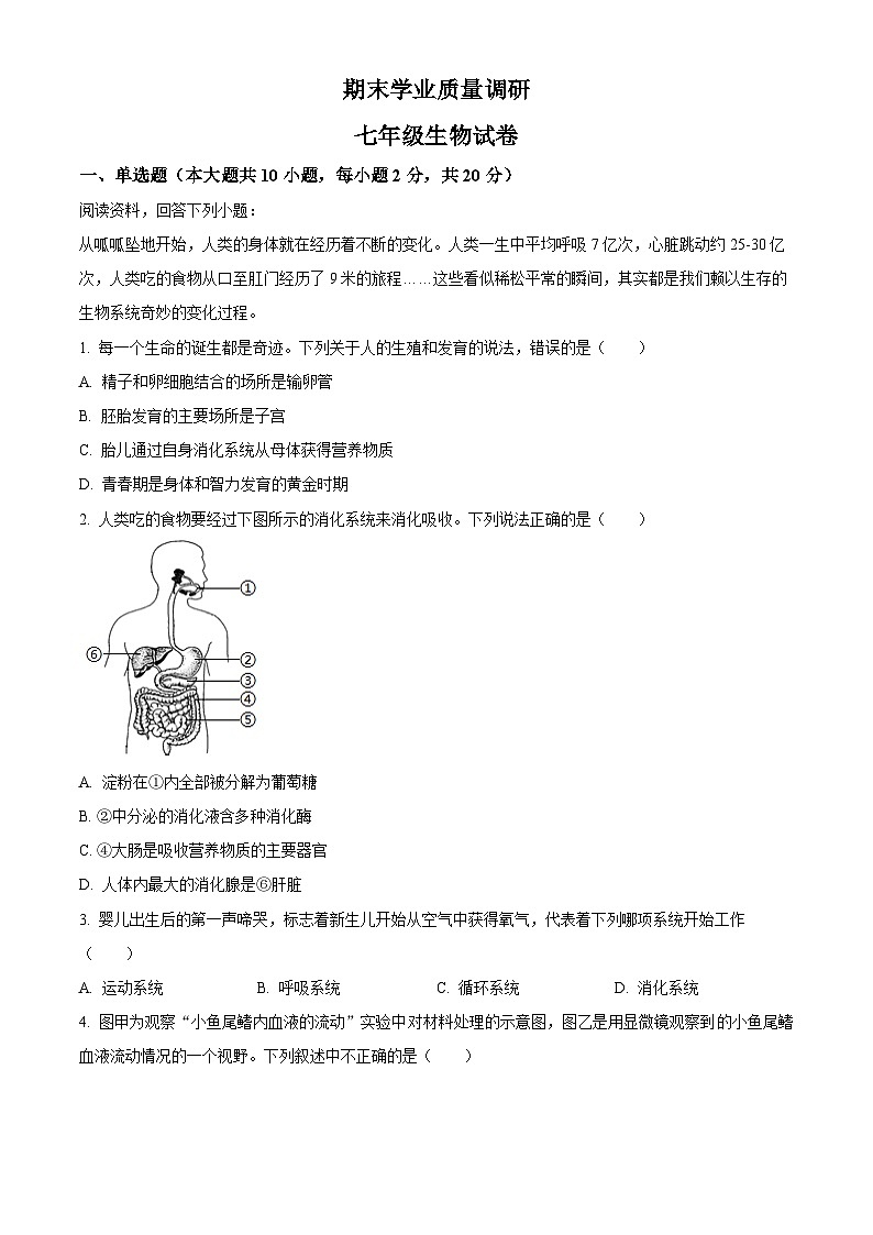 湖北省孝感市孝昌县2023-2024学年七年级下学期期末生物试题（原卷版）第1页