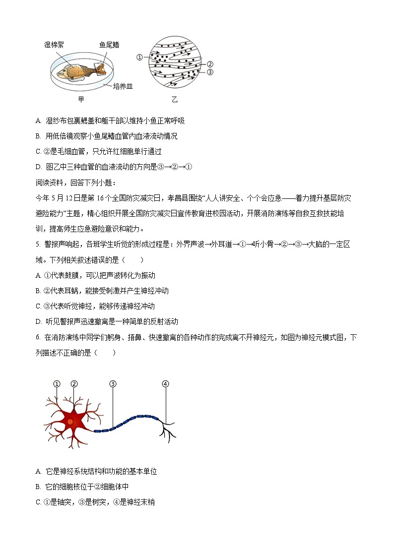 湖北省孝感市孝昌县2023-2024学年七年级下学期期末生物试题（原卷版）第2页