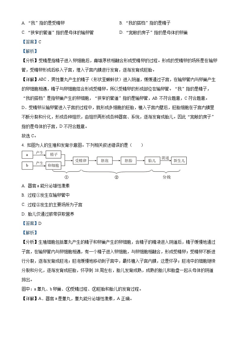 河南省许昌市襄城县2023-2024学年七年级下学期期中生物试题（解析版）02
