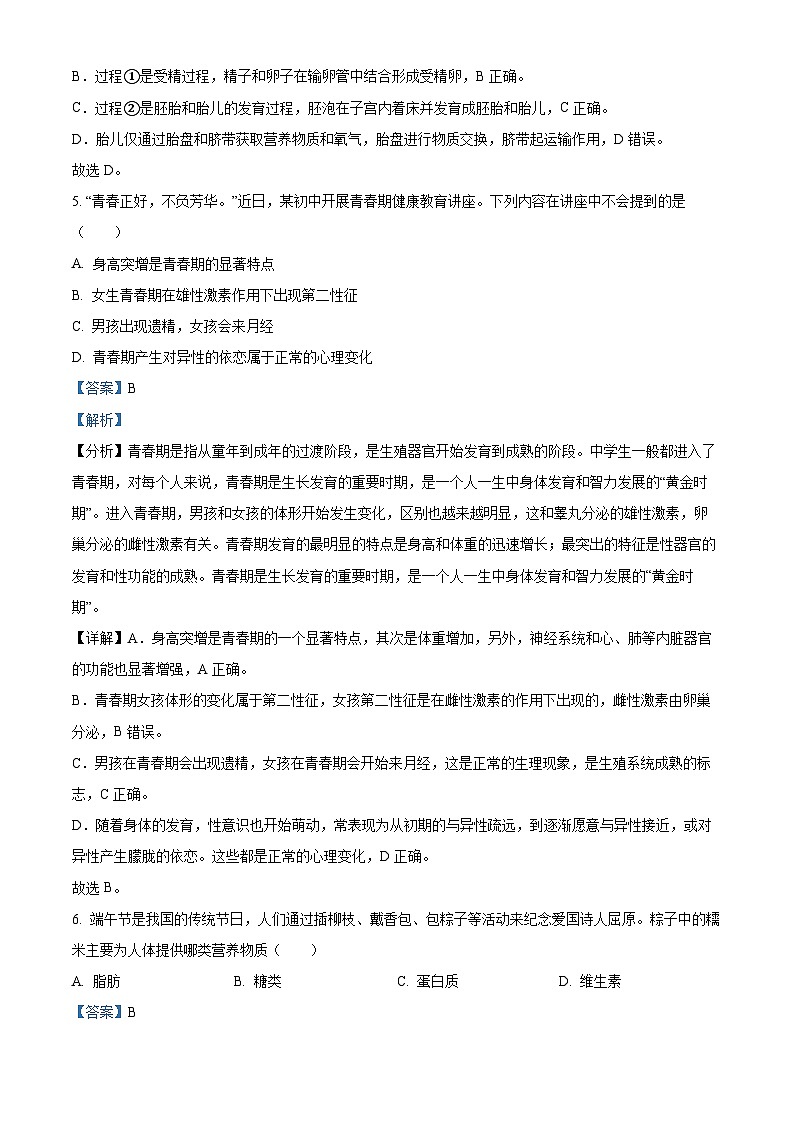 河南省许昌市襄城县2023-2024学年七年级下学期期中生物试题（解析版）03