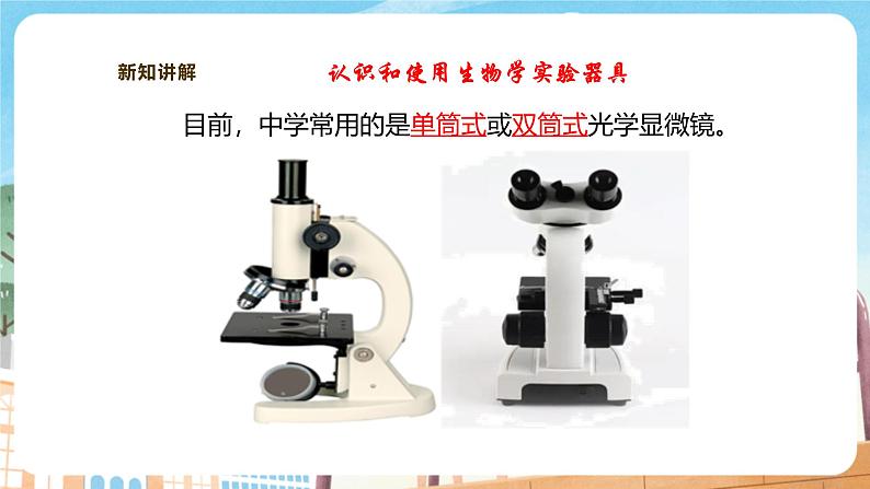 【新教材】苏教版生物七年级上册1.1.1走进生物学实验室 课件+学案（含答案）06