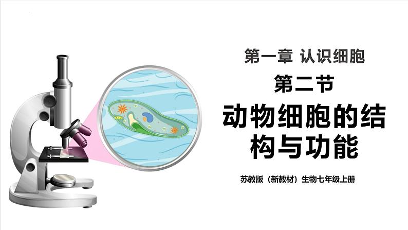 【新教材】苏教版生物七年级上册1.1.2动物细胞的结构与功能 课件+学案（含答案）01