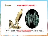 【新教材】苏教版生物七年级上册1.1.2动物细胞的结构与功能 课件+学案（含答案）
