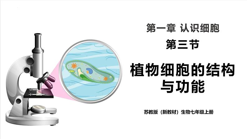 【新教材】苏教版生物七年级上册1.1.3 植物细胞的结构与功能 课件+学案01